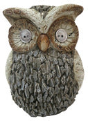 SOCIÉTÉ ALPINE, Alpine Corporation Qwr674slr 10 Statue de hibou solaire (lot de 2)